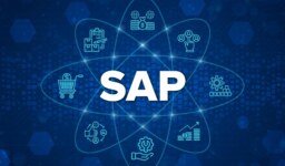 Maximize Your Professional Skills development with Expert Quick Books Tutoring, SAP Tutoring, and Web Development Tutoring from Mentor For Hire