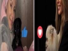 KTÓRĄ Z NICH CENICIE BARDZIEJ ZA DZIAŁANIA WS. ZWIERZĄT?