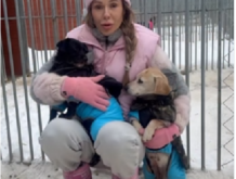 KTÓRĄ Z NICH CENICIE BARDZIEJ ZA DZIAŁANIA WS. ZWIERZĄT?