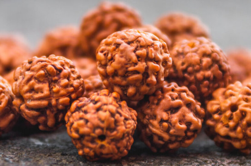17 Mukhi Rudraksha: Benefits, Significance, and How to Wear